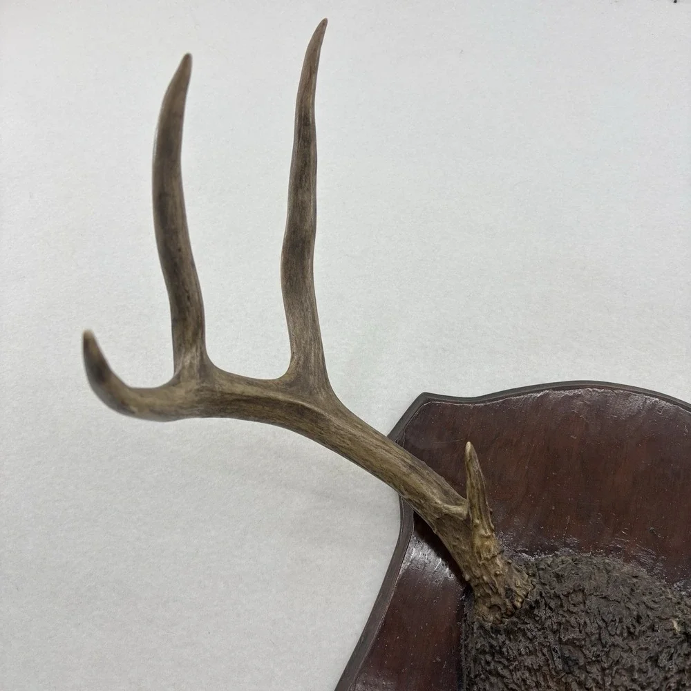 N/A rustic deer